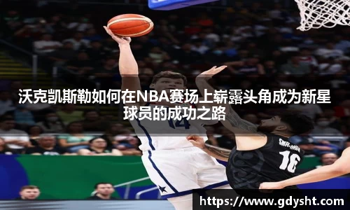 VSport沃克凯斯勒如何在NBA赛场上崭露头角成为新星球员的成功之路