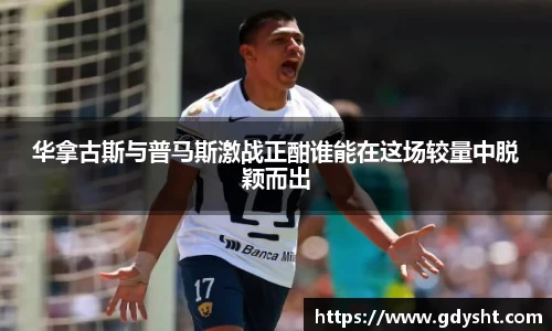 VSport华拿古斯与普马斯激战正酣谁能在这场较量中脱颖而出